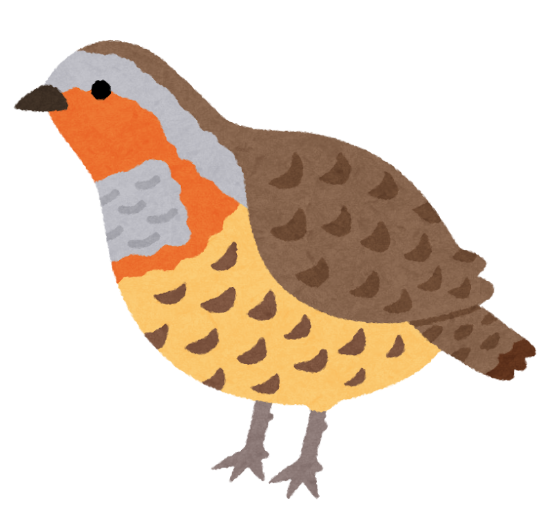 鳥図鑑
